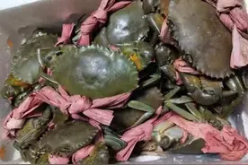 最高250元/斤仍一蟹难求！部分经销商缺货，疯狂“蟹粉”海选青蟹极品重壳蟹 | 晨吃客图片