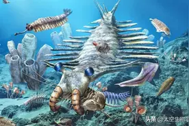地球生命史上的第一次生命大灭绝——埃迪卡拉纪灭绝事件图片