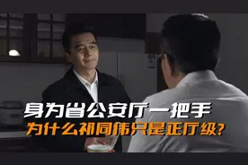 《人民的名义》为什么祁同伟的级别是正厅级？他可是公安厅长啊图片