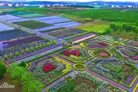 江西第二县是哪座？丰城与高安，到底谁更发达？答案来了图片