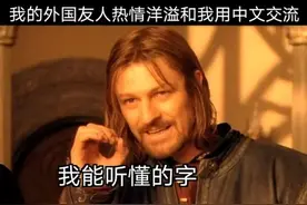 “原是我不配了”，谁来拯救被中文逼疯的外国人？看到梗图笑出声图片