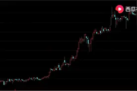 庄股特征详解图片