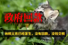 地方不回款，但税钱你还是得按时交图片