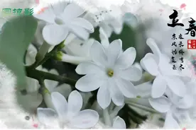 这篇推送，我们准备了整整一年图片