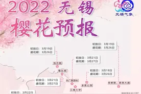 2022年无锡樱花预报 染井吉野樱正常赴约图片
