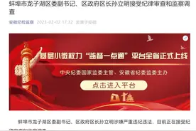 安徽蚌埠市龙子湖区委副书记、区政府区长孙立明接受审查调查图片