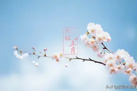 韭菜这样做成饼，软糯鲜香颜值高，很适合用来做早餐和点心图片