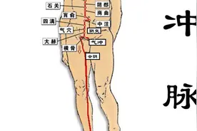 玫子科普：奇经八脉，冲脉——十二经脉之海图片