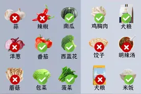 紧急曝光：狗狗不能吃的人类食物，误食会危及狗狗性命图片
