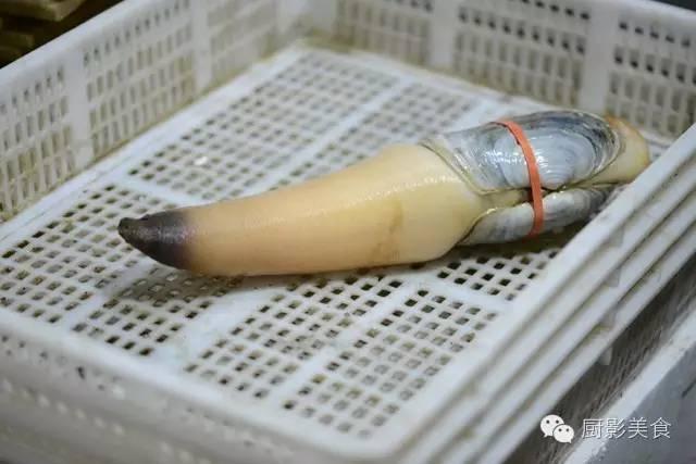 什么海鲜胶原蛋白最多 2025年海鲜含有胶原蛋白吗