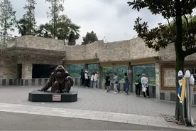 成都动物园（成都市野生动物研究所） 关于开园的通告图片