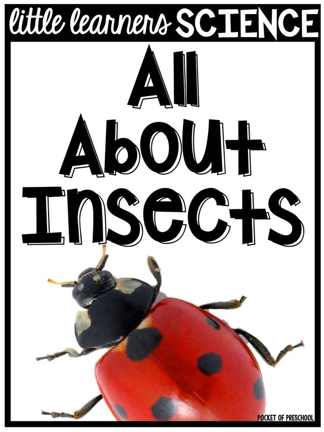 С��ѧ��̽��ϵ��֮�������׻�زİ�