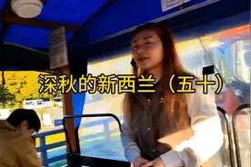 2023年5月新西兰深秋之旅(11)—观赏剪羊毛农场秀和毛利歌舞表演图片