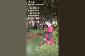 七绝 银丝贯顶牡丹图片