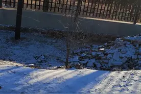 校园，一个让我无法忘怀的人生痕迹图片