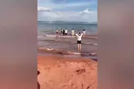 玉溪抚仙湖一男子私自下水游泳后失联图片