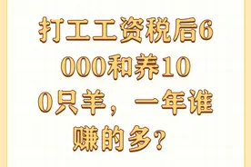 打工工资税后6000和养100只羊，一年谁赚的多？图片