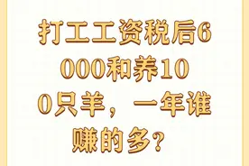 打工工资税后6000和养100只羊，一年谁赚的多？图片