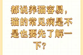 都说养猫容易，猫的常见病是不是也要先了解一下？图片