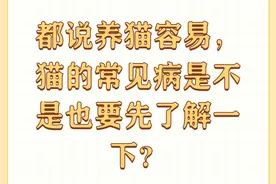 都说养猫容易，猫的常见病是不是也要先了解一下？图片