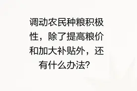 调动农民种粮积极性，除了提高粮价和加大补贴，还有什么办法呢？图片