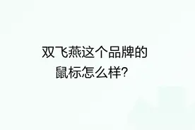 双飞燕这个品牌的鼠标怎么样？图片