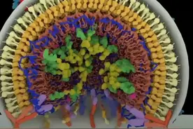科学家正在用CRISPR基因编辑治疗HIV

第一个志愿者可能会不...视频封面