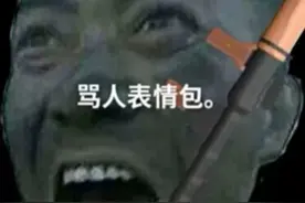 骂人表情包视频封面