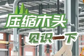 【#百姓看联播# | 邯郸广平：物理压密技术助力“木生金”】压缩饼干、压缩毛巾，你听说过压缩木头吗？咱河北广平县一家企业，利用在全国首创的物理压缩技术，专门生产压密木。
啥是压密木？就是把松木、杨木等质地疏松、密度低的木材，通过设置特定参数，采用高温高压的方法 改良提升木材性质，6至10秒钟，就能让软木变硬木。视频封面