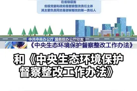 中央生态环保督察制度体系，系统严密、操作性强，不断完善创新。↓↓↓视频封面