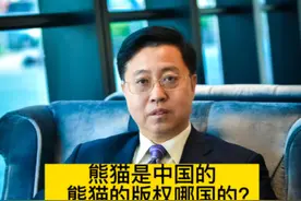 熊猫是中国的，熊猫的版权是哪国的？#熊猫##功夫熊猫#视频封面