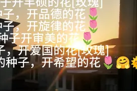 种什么样的种子，开什么样的花视频封面