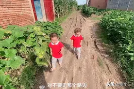 宝宝去接妈妈，妈妈假装不认识从身边路过，宝宝反应够我笑一年视频封面