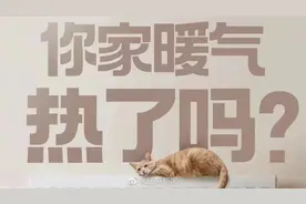 【#郑州供暖第1天#，你家暖气热了吗？】11月15日视频封面