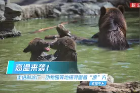 【直播：#消暑冰块是如何制作的#？走进制冰厂