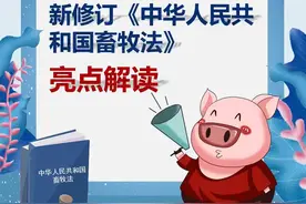 新修订《中华人民共和国畜牧法》亮点解读来了！视频封面