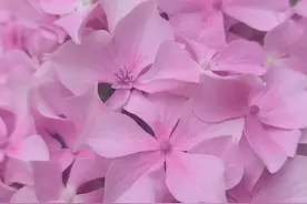 迷迷糊糊的童年（原創）视频封面