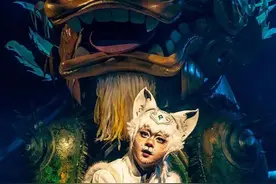 看！这只大喵带江城孩子去紫禁城的历史里旅行图片