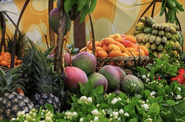 云新闻・滇地宝藏⑩丨吃不完根本吃不完，滨江花果城确定不来吗？