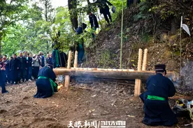 凯里朗利苗寨迎来十三年一度鼓藏节图片
