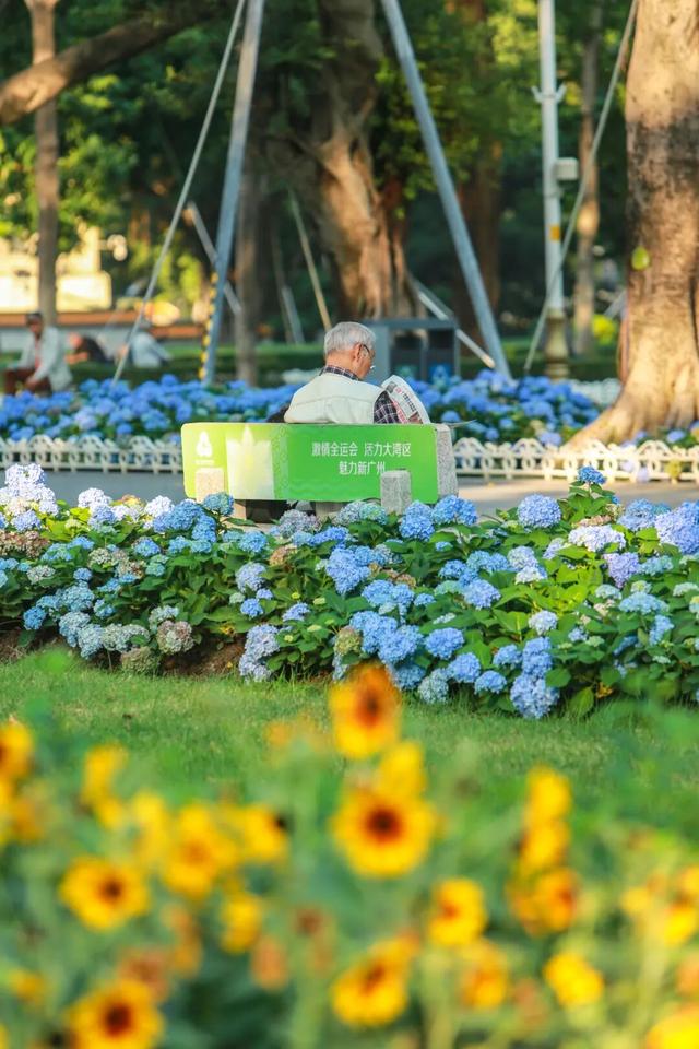 这么近，那么美！