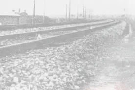 有声海报丨今天，这些旋律值得反复循环……图片