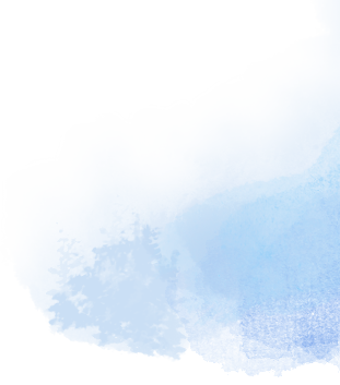 首批红嘴鸥抵达翠湖公园，游客雨中观鸥兴致不减