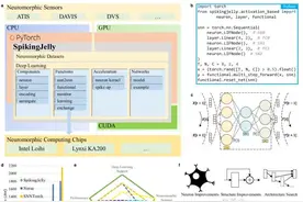 中国科学家成功构建并开源深度脉冲神经网络学习框架“惊蜇”图片