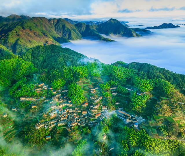文博名家看松阳 | 张岚：坐看白云天际飞——松阳行