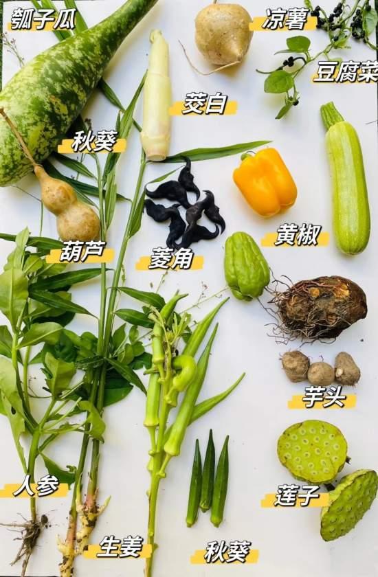 ＠所有自贡人！尖山国庆大型游园会来了，连嗨3天！快看第一天你能白拿什么礼物！