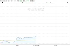 实控人张剑被留置、立案调查，爱玛科技今日盘中触及跌停图片