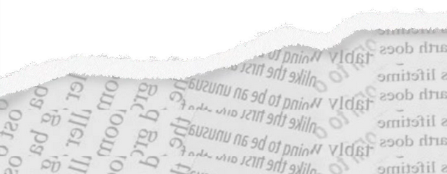 2025年钦州蚝情节活动大揭秘→