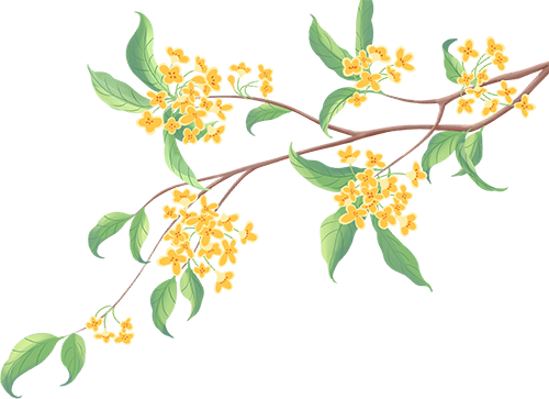 月满京城，站站生花！“七站两场”中秋打卡指南来了！