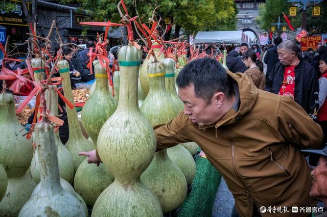 俞见|把葫芦带回家